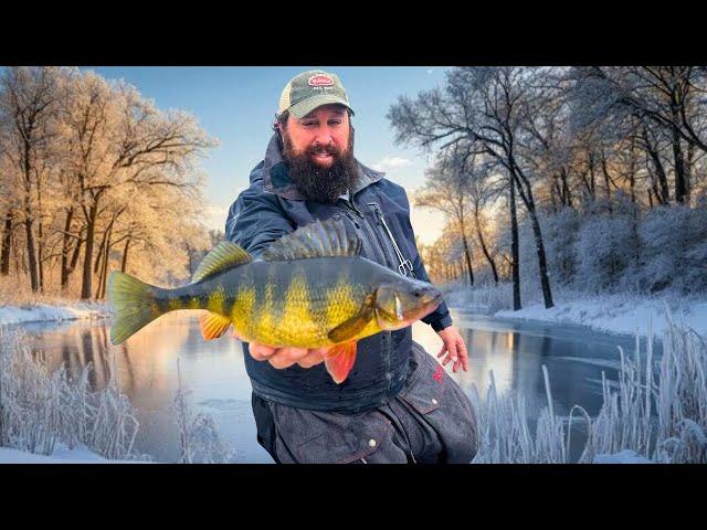 THICK PERCH - THIN ICE