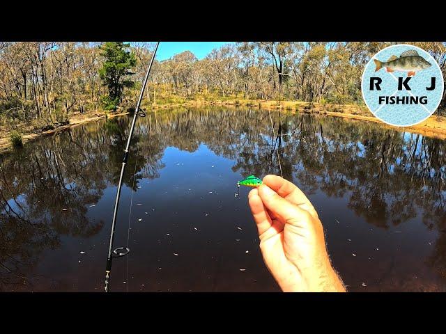 Redfin Fishing In A Small Dam