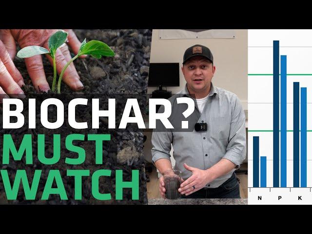 Does Biochar Work? Will Biochar Work For You? - Find Out Now!