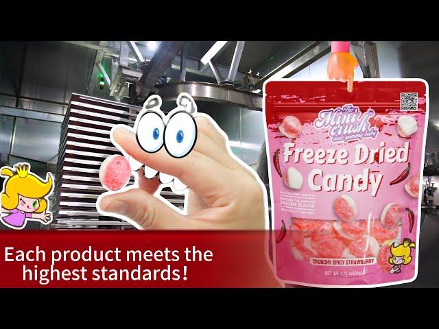 Discover The Future Of Candy | Minicrush Freeze-Dried Treats | Delicious And Unique Flavor