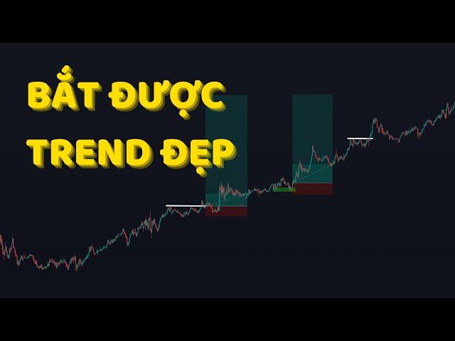 Bắt Được Trend Đẹp | Review Lệnh