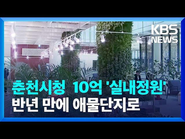 10억 원 들인 춘천시청 실내정원, 반년 만에 애물단지 전락 / KBS  2022.01.27.