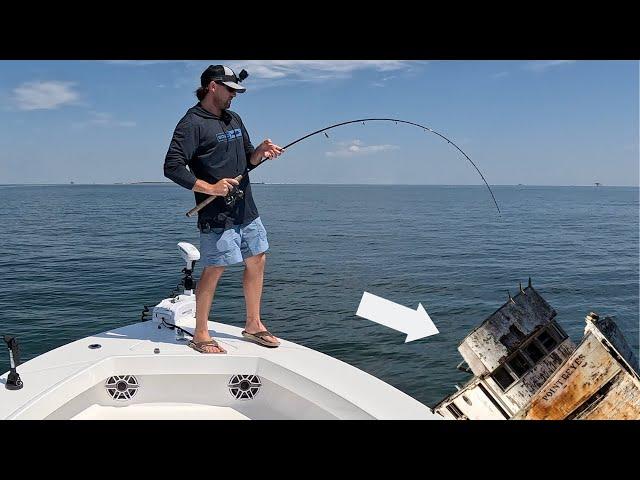 This Inshore Shipwreck Was COVERED With These Aggressive Fish! *Catch, Clean, & Cook*