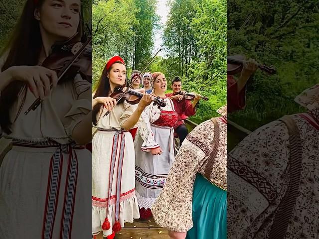 Широка река...️ #violin #music #скрипка #музыка #кадышева #топ #top #violincover