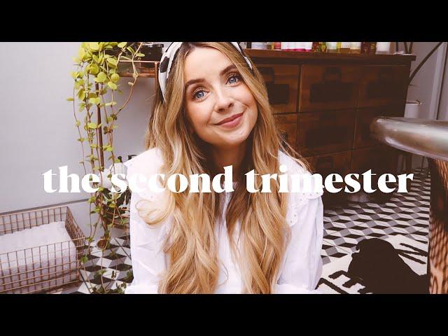 The Second Trimester | Q&A