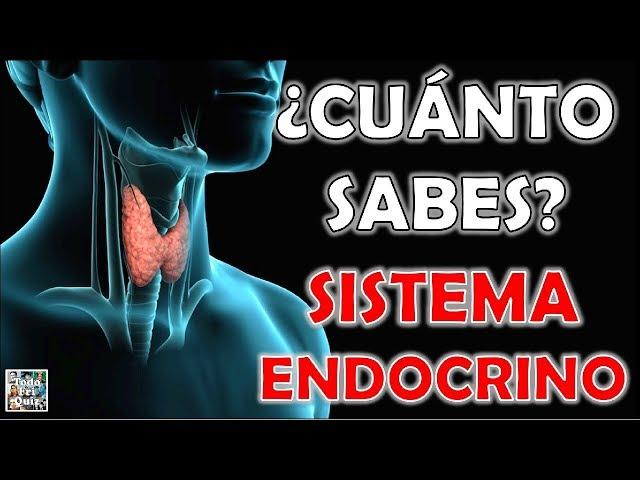 ¿Cuánto Sabes Sobre el "SISTEMA ENDOCRINO"? Test/Trivial/Quiz