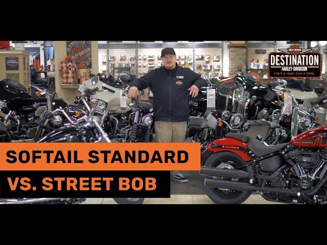 Harley-Davidson Street Bob vs. Softail Standard