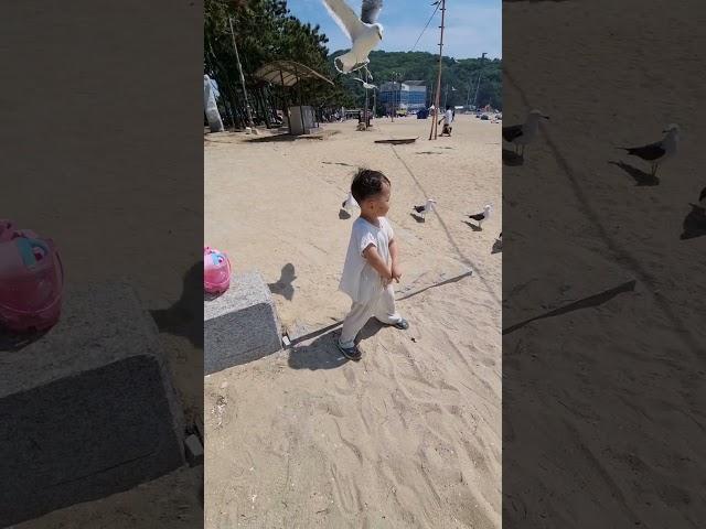 갈매기에게 주는 과자 나도 먹고 싶다