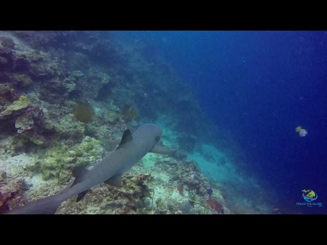 Visit to Mabul Vlog Intro Taster- Tread the Globe