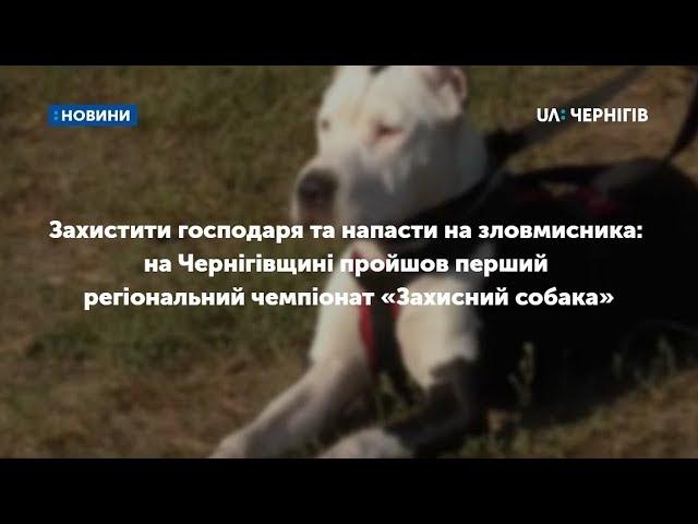 На Чернігівщині пройшов перший регіональний чемпіонат «Захисний собака»