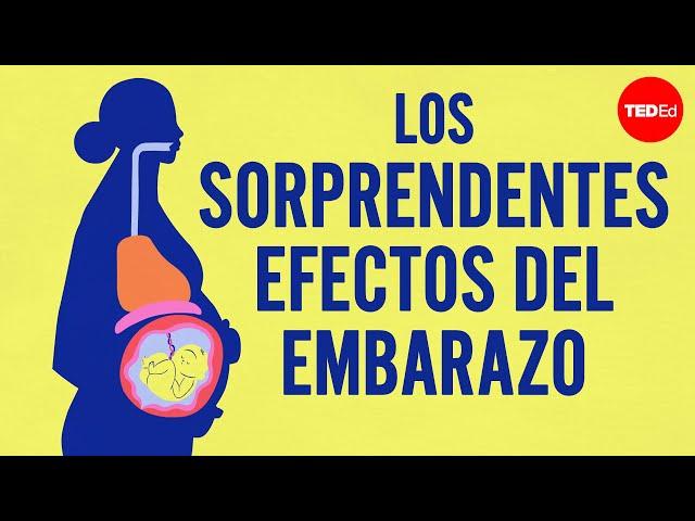 Los sorprendentes efectos del embarazo