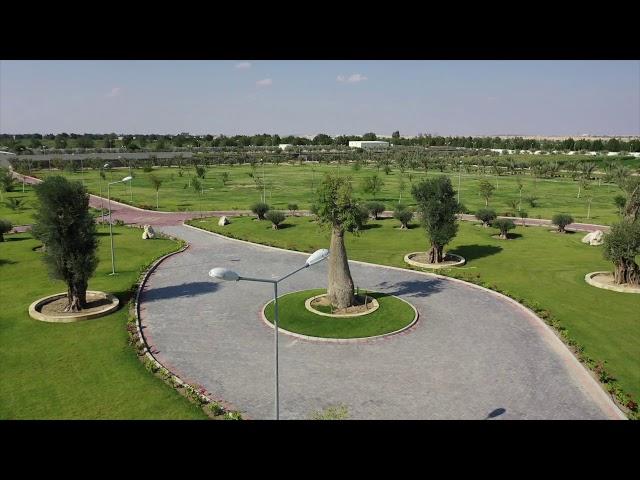 Alwaab Farm 2