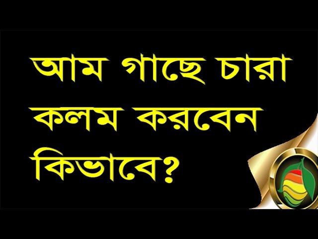 এবার নিজে নিজেই আম গাছের কলম, জোড় কলম, টেপ বা গ্রাফটিং  করুন  (বাংলায়)