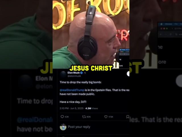 Joe Rogan Reacts to Elon Musk vs Donald Trump LIVE ON AIR 