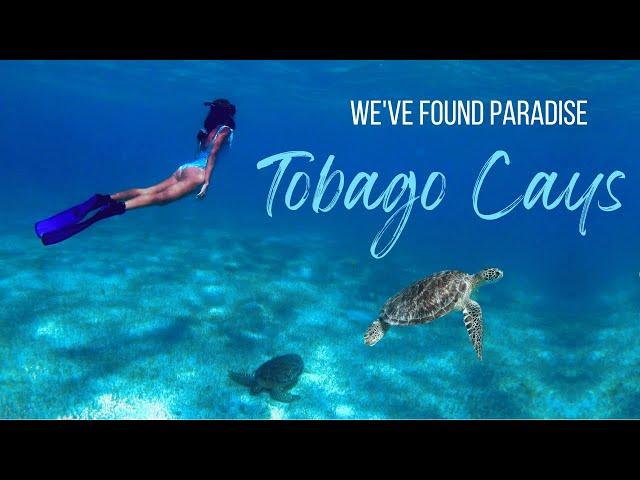 We SAILED to Tobago Cays 🪸 Saint Vincent and the Grenadines