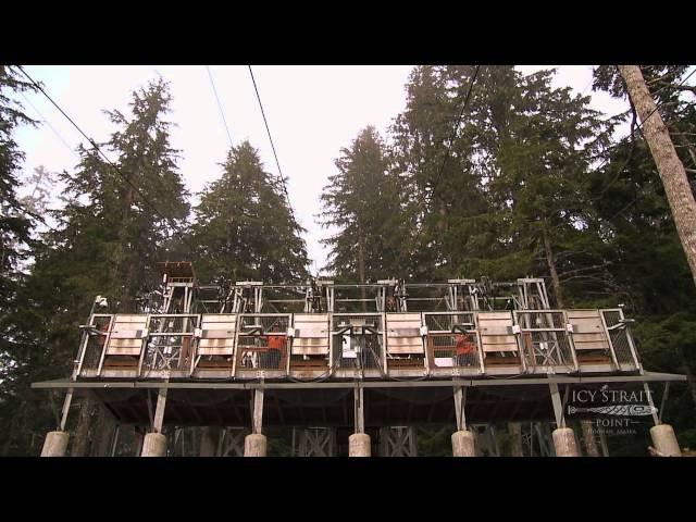 Icy Strait Point ZipRider: Worlds Largest Zipline