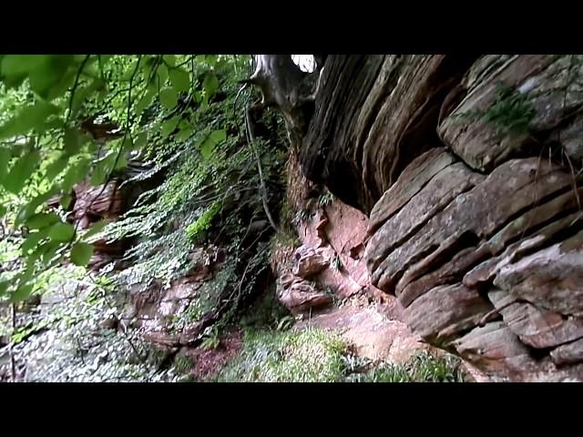 Wallace's Cave, Lugar Gorge, Auchinleck