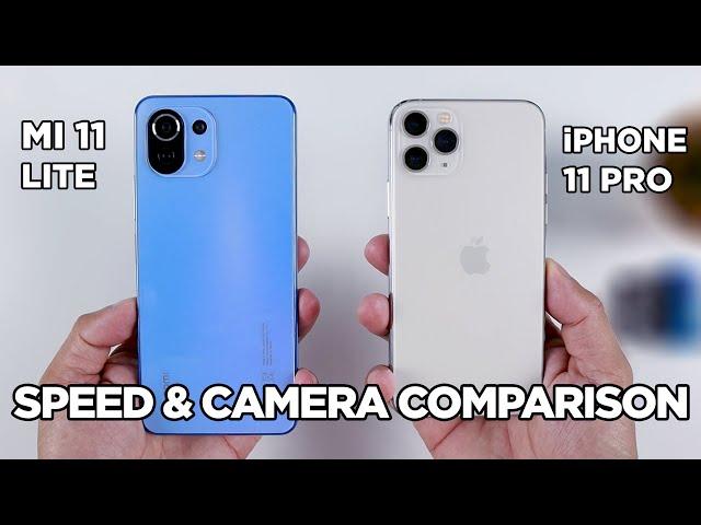 Mi 11 Lite vs iPhone 11 Pro SPEED TEST & CAMERA Comparison | Zeibiz