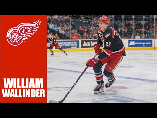 NHL Prospects : William Wallinder - 23-24 Highlights