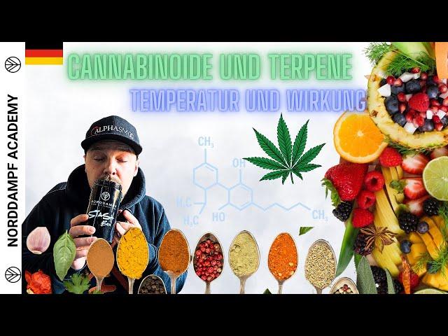 Wie wirkt Cannabis? Terpene und Cannabinoide, welche Temperatur beim Vaporizer?