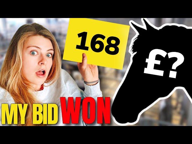 I BOUGHT A HORSE AT AUCTION