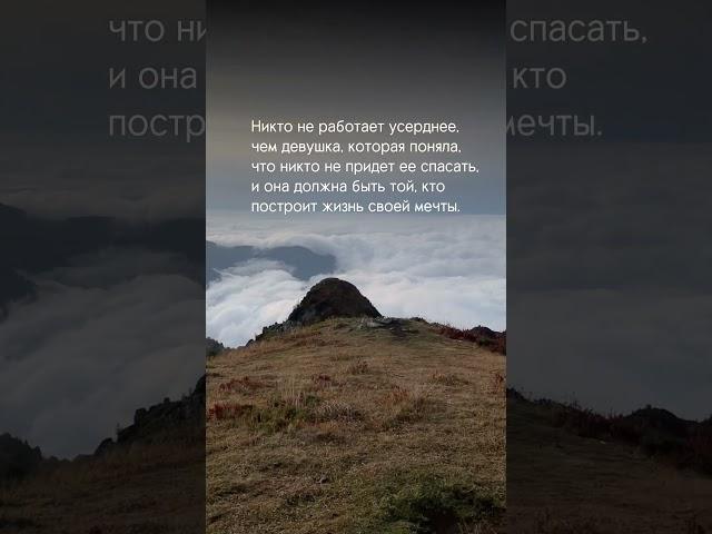 Разверни комментарии ↓ #тендеры #госзакупки #предприниматель #бизнес