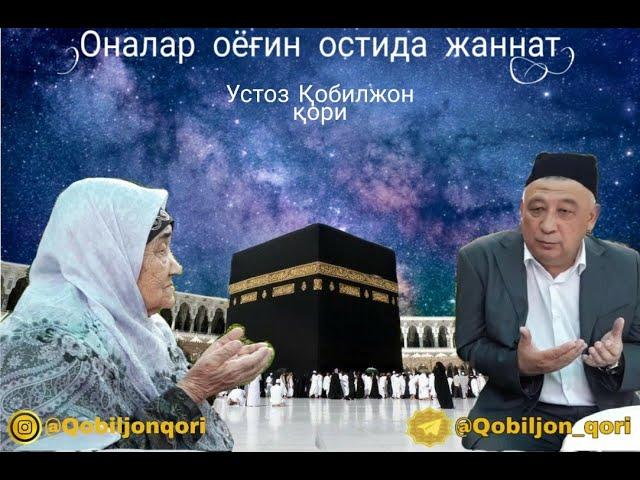 Qobil qori. Қобил қори. Кобил кори.