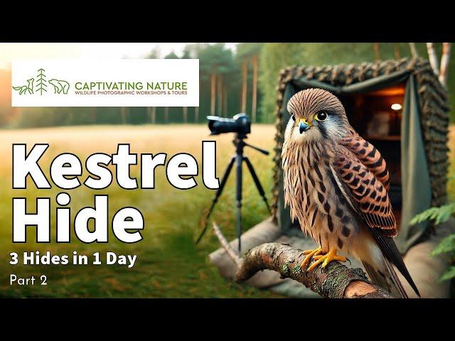 3 Hides in 1 Day, Part 2 - The Kestrel Hide