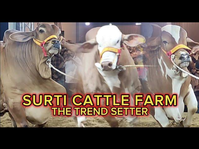 The Grand Opening Ceremony Of Surti Cattle Farm 2023 | One Of The Famous Cattle Name In Pakistan