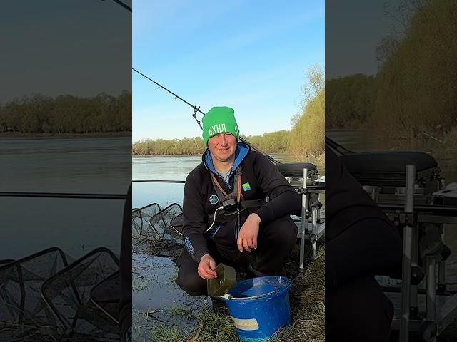 #shorts #fishing #риболовля #фідер #рыбалканафидер #рибак #риболовля #рибалка