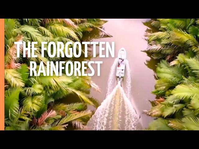 The Forgotten Rainforest - The Amazon of the East | Nature Documentary