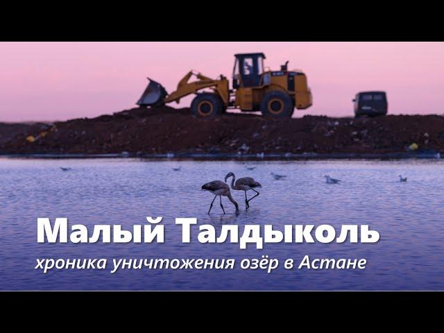 Засыпка и застройка Малого Талдыколя. 03.11.2022