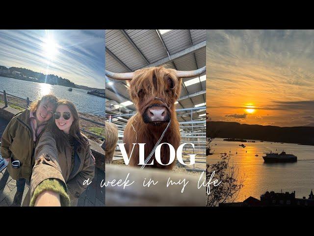 Life in Scotland vlog: Highland cow shopping, rural living chat and baking in my cottage