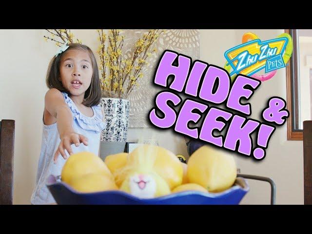 HIDE & SEEK CHALLENGE!!! Zhu Zhu Pets Gone Wild!