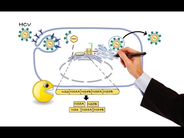 Pharmacology - ANTIVIRAL DRUGS (MADE EASY)