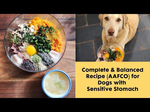 Complete & Balanced Dog Food Recipe (AAFCO) for Dogs with Sensitive Stomach