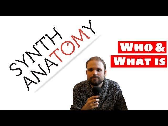 WHO & WHAT IS SYNTH ANATOMY? Answers To The Most Important Questions!