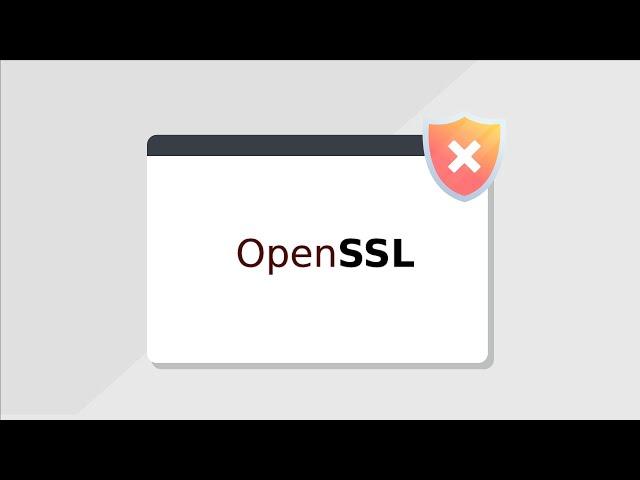 OpenSSL Fixes Two Severe RCE Vulnerabilities |  CVE-2022-3602 |  CVE-2022-3786