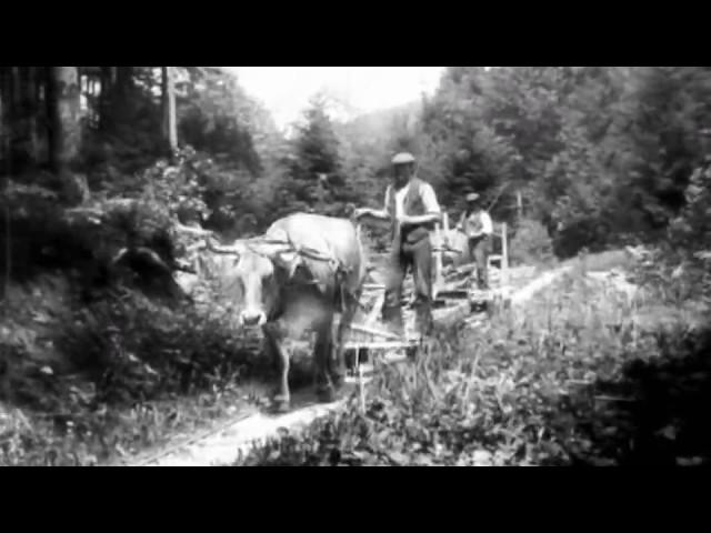 Waldbahn im Sihlwald, ein Film aus dem Jahre 1913