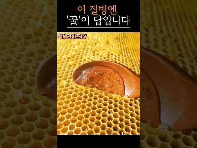 하루 한 스푼 꿀, 병이 사라집니다｜#꿀의효능 #시니어건강