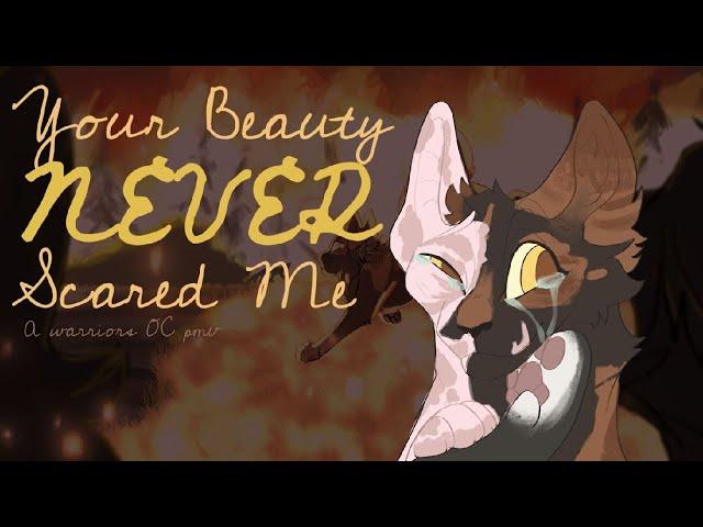 Your Beauty Never Scared Me | Warriors OC PMV | Braveflame