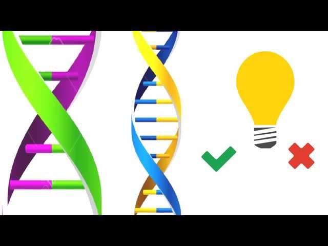 What is Genetic Engineering?