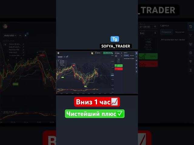 POCKET OPTION AUD/USD-сделка на час внизЧИСТЫЙ ПЛЮС#покетопшн #бинарныеопционы #trading #2024