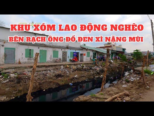 Khám phá xã Bình Chánh Huyện Bình Chánh TP.HCM