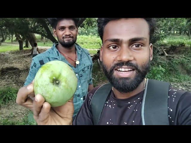 My New Vlog Warisnagar