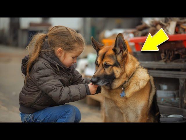 Little Girl Finds Terrified Dog At Market, Then Makes EVERYONE Cry When THIS Happens!