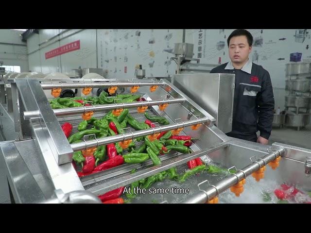 Fresh Fruits and Vegetables Process Euiqments Factory