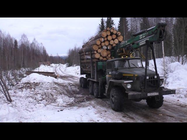 Закончил сезон 2024-25 года. Урал лесовоз.