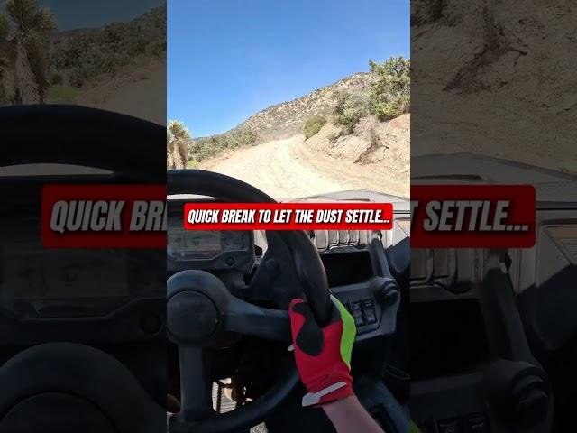 New 2024 Honda Talon 1000 Ripping in the Desert! #honda #sxs #utv #4x4 #offroad #talon #adventure