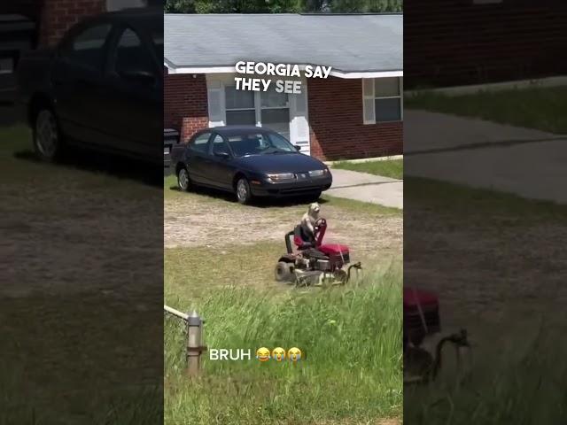 This dog was mowing the lawn 